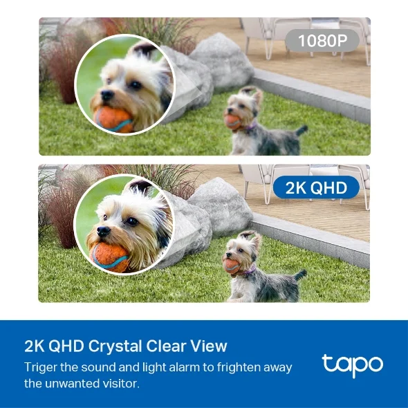 Smart WiFi Cameras TP-Link Tapo C420S1 3