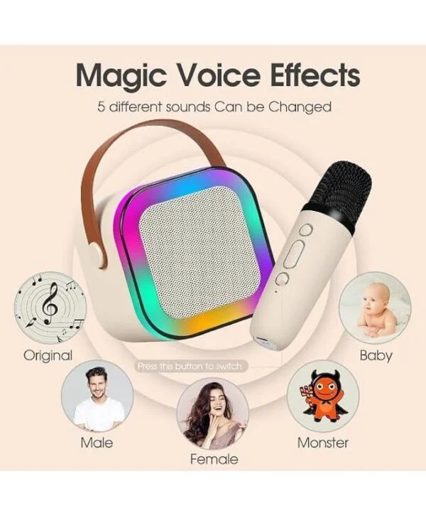 Classic Bluetooth Speaker with Karaoke Mic – Wireless, IP66 Water Resistant 2