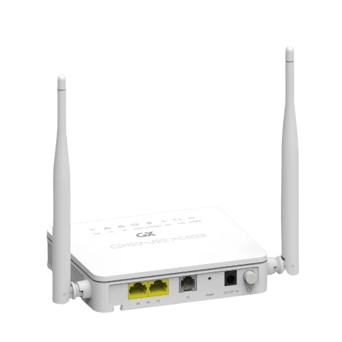 GX Platinum T21 single band GPON ONT With Voice (Platinum 4410) 2